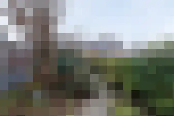 Aalscholverstraat 8 Sliedrecht thumbnail 4