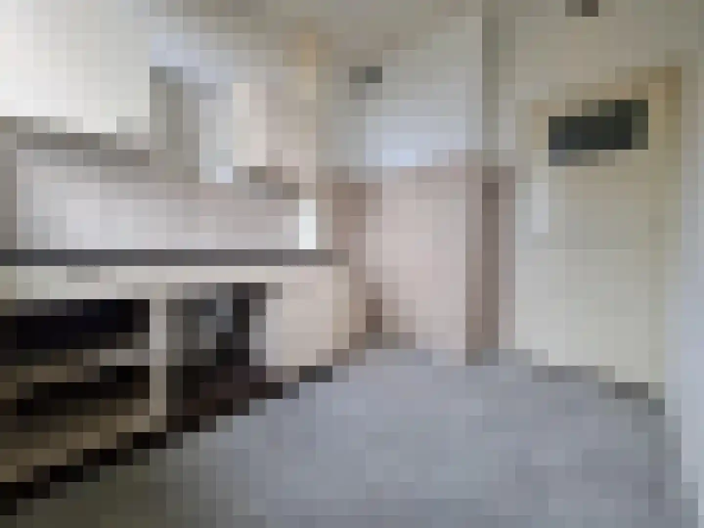 Aalscholverstraat 9 Dordrecht thumbnail 12