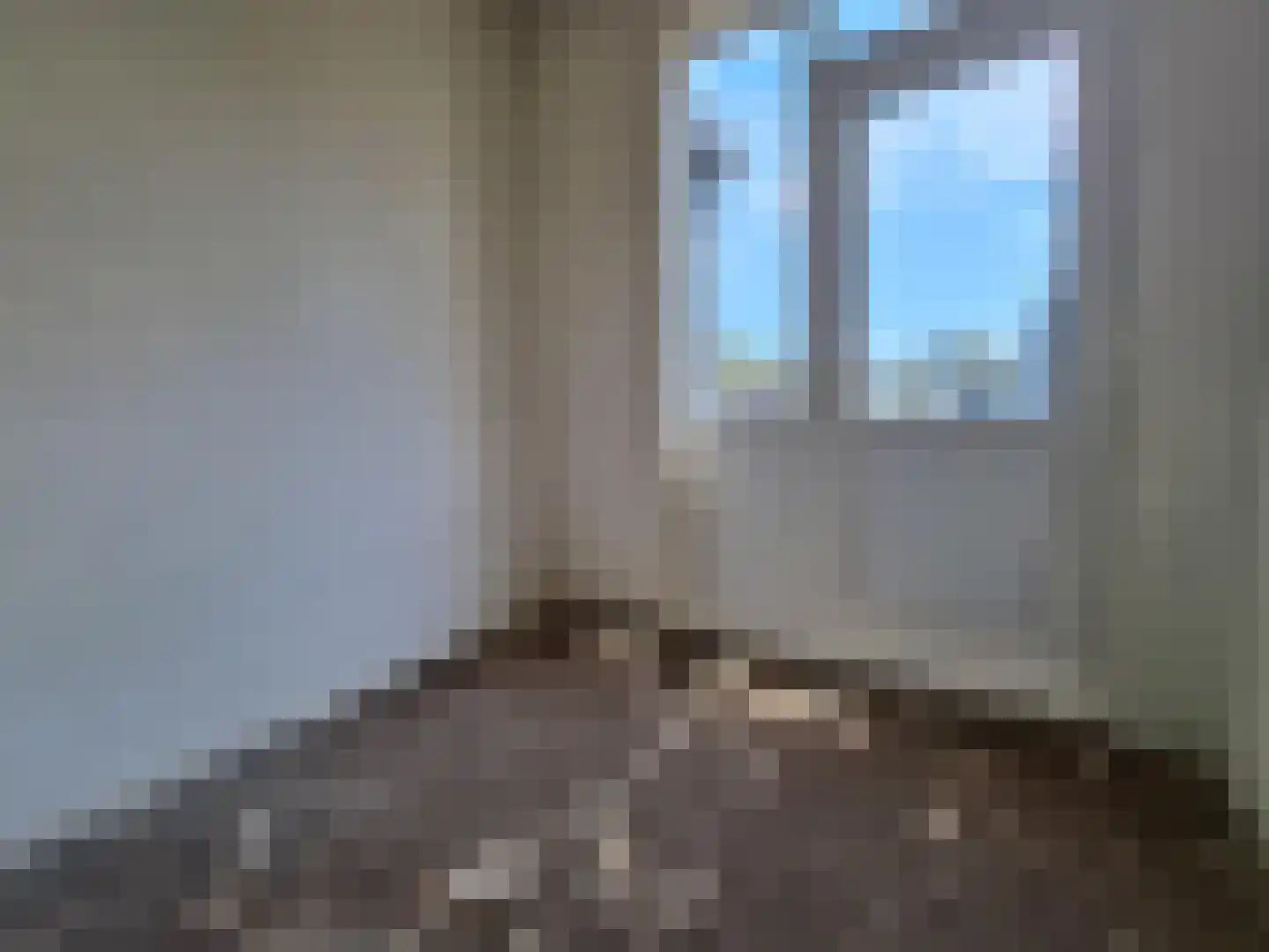 Aalscholverstraat 9 Dordrecht thumbnail 17