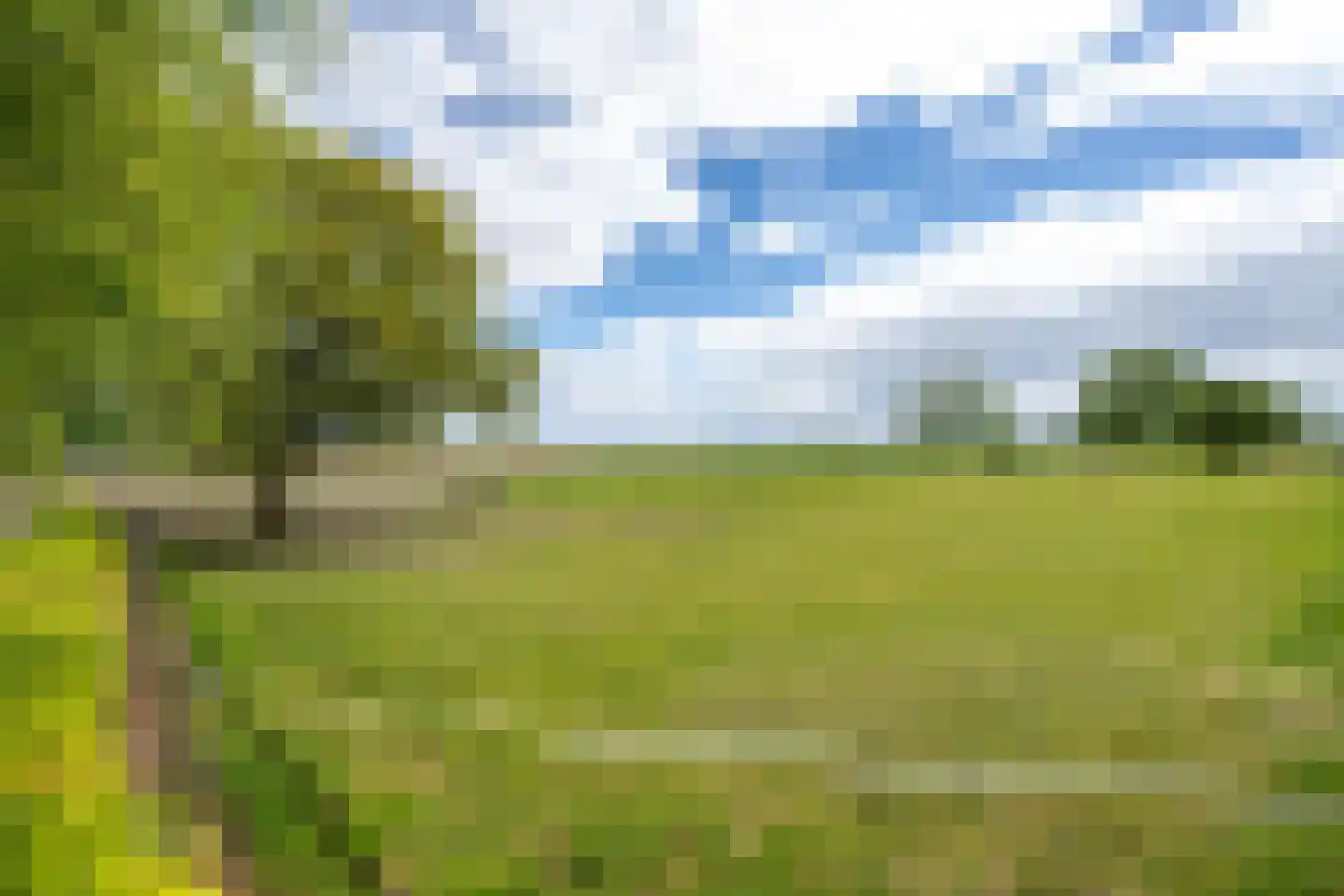 Aalsdijk 8 Asch thumbnail 20