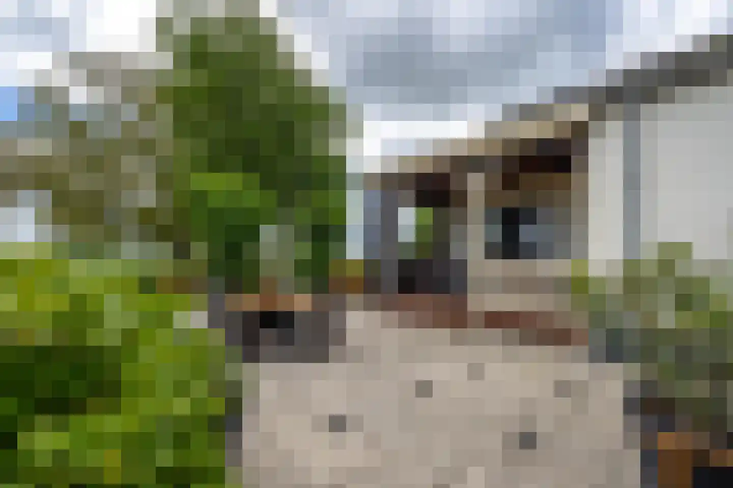 Aalsdijk 8 Asch thumbnail 24