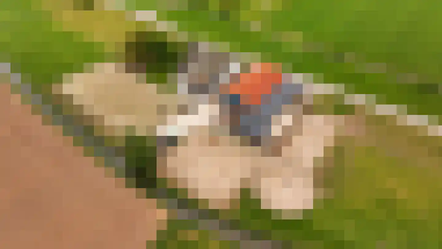 Aalsdijk 8 Asch thumbnail 4