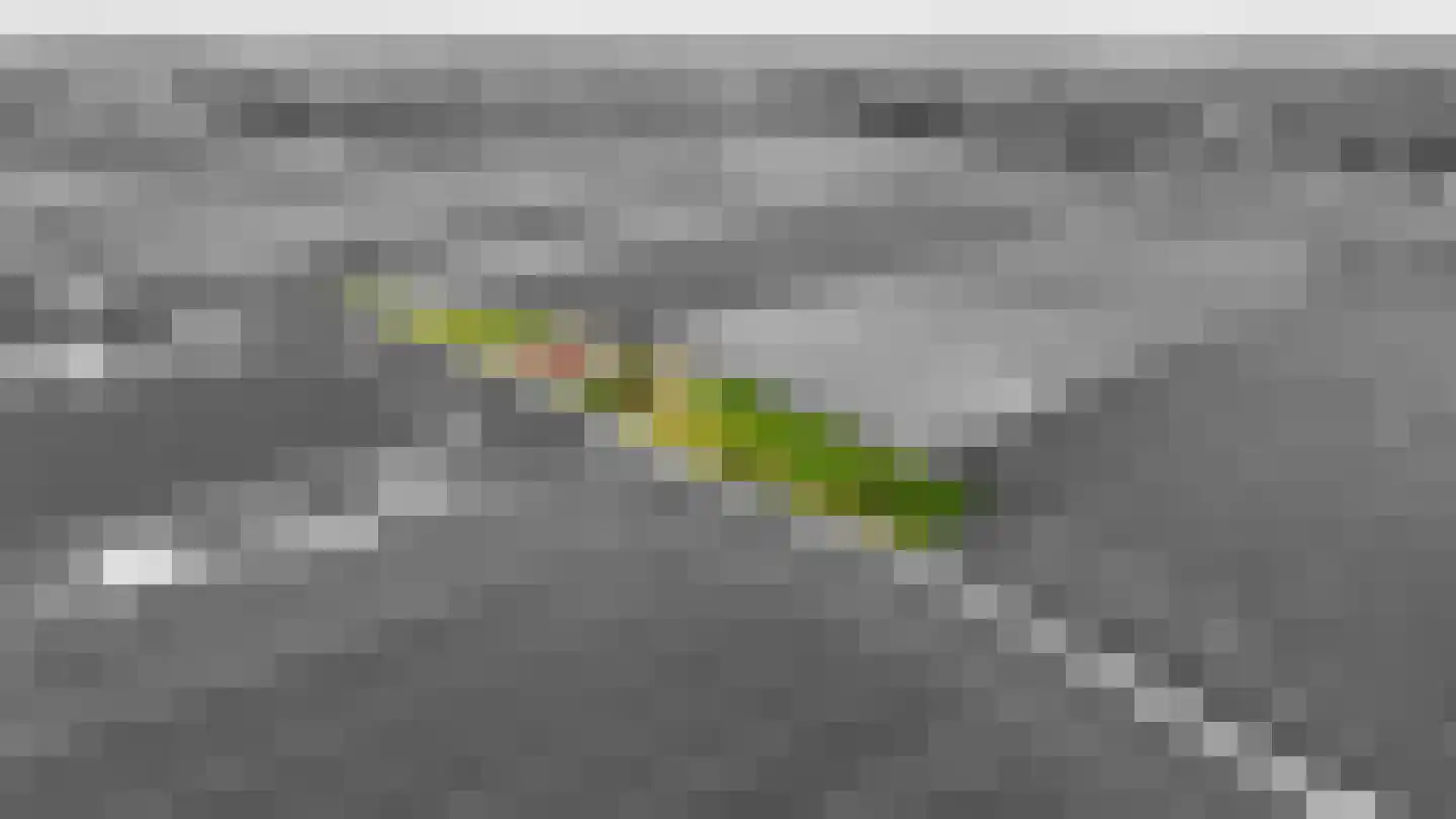 Aalsdijk 8 Asch thumbnail 5