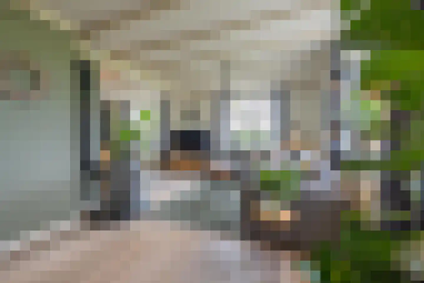 Aalsdijk 8 Asch thumbnail 74