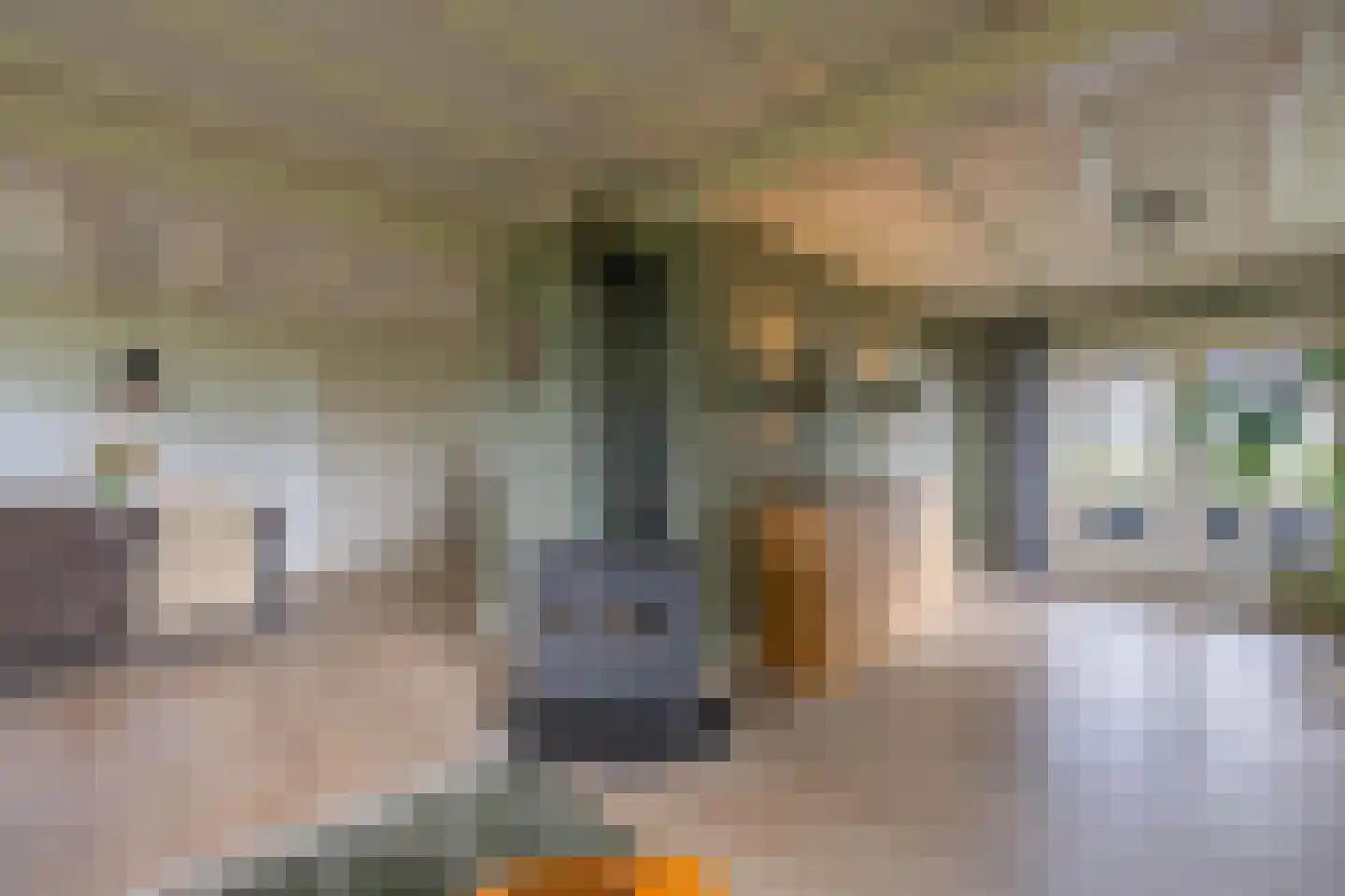 Aalsdijk 8 Asch thumbnail 77
