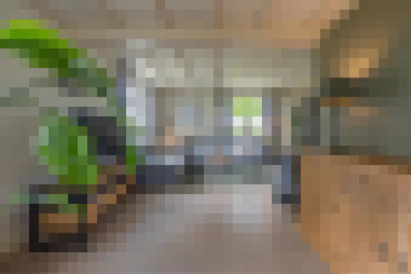 Aalsdijk 8 Asch thumbnail 79