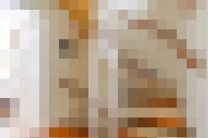 Aalsloot 10 Houten thumbnail 22