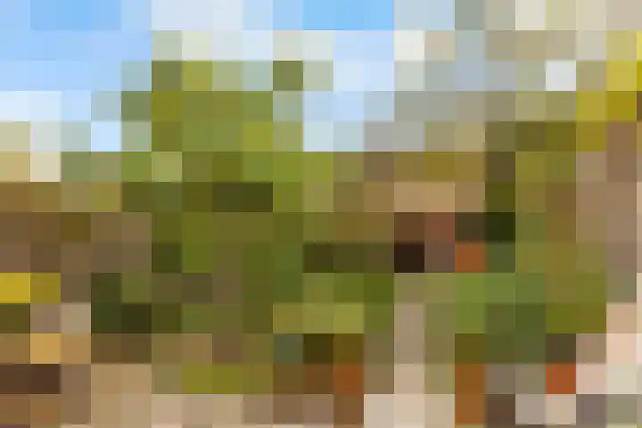 Aalsloot 10 Houten thumbnail 43