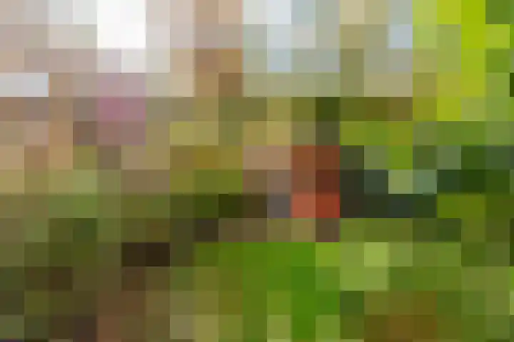 Aalsloot 10 Houten thumbnail 46