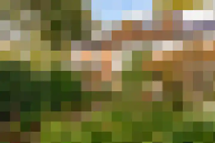 Aalsloot 10 Houten thumbnail 47