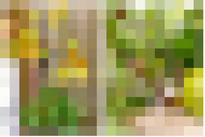 Aalsloot 10 Houten thumbnail 51