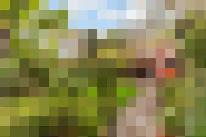 Aalsloot 10 Houten thumbnail 52