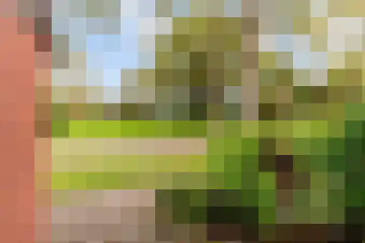 Aalsloot 10 Houten thumbnail 55