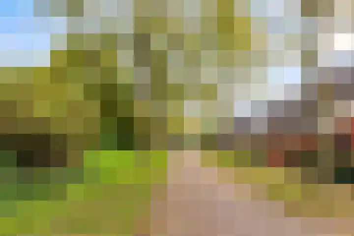 Aalsloot 10 Houten thumbnail 56