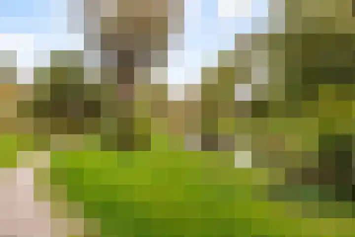 Aalsloot 10 Houten thumbnail 60