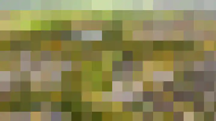 Aalsloot 10 Houten thumbnail 65