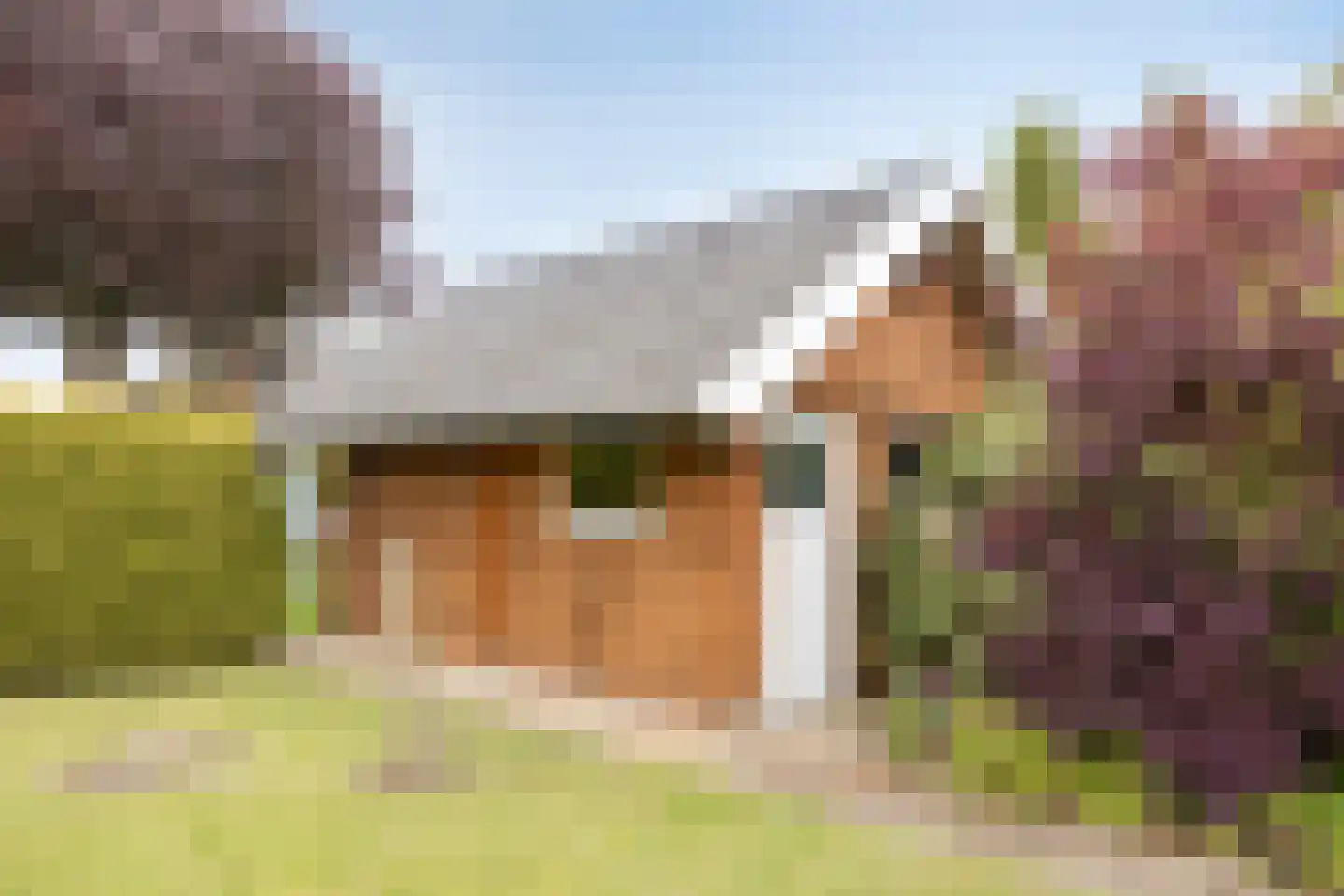 Aalsmeer 6 6 Badhoevedorp thumbnail 30