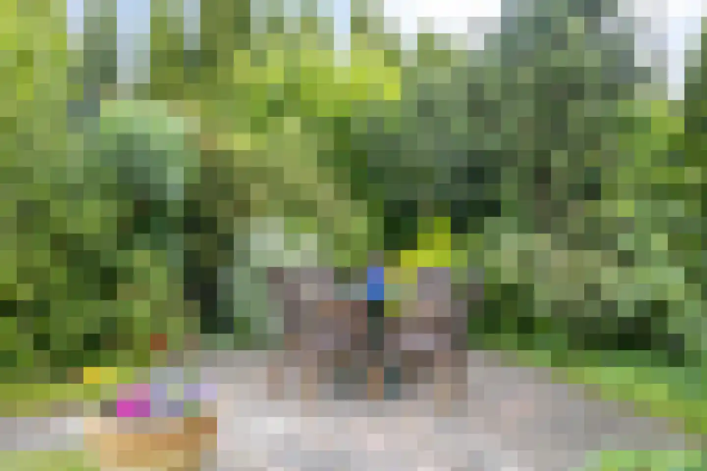 Aalsmeer 6 6 Badhoevedorp thumbnail 31