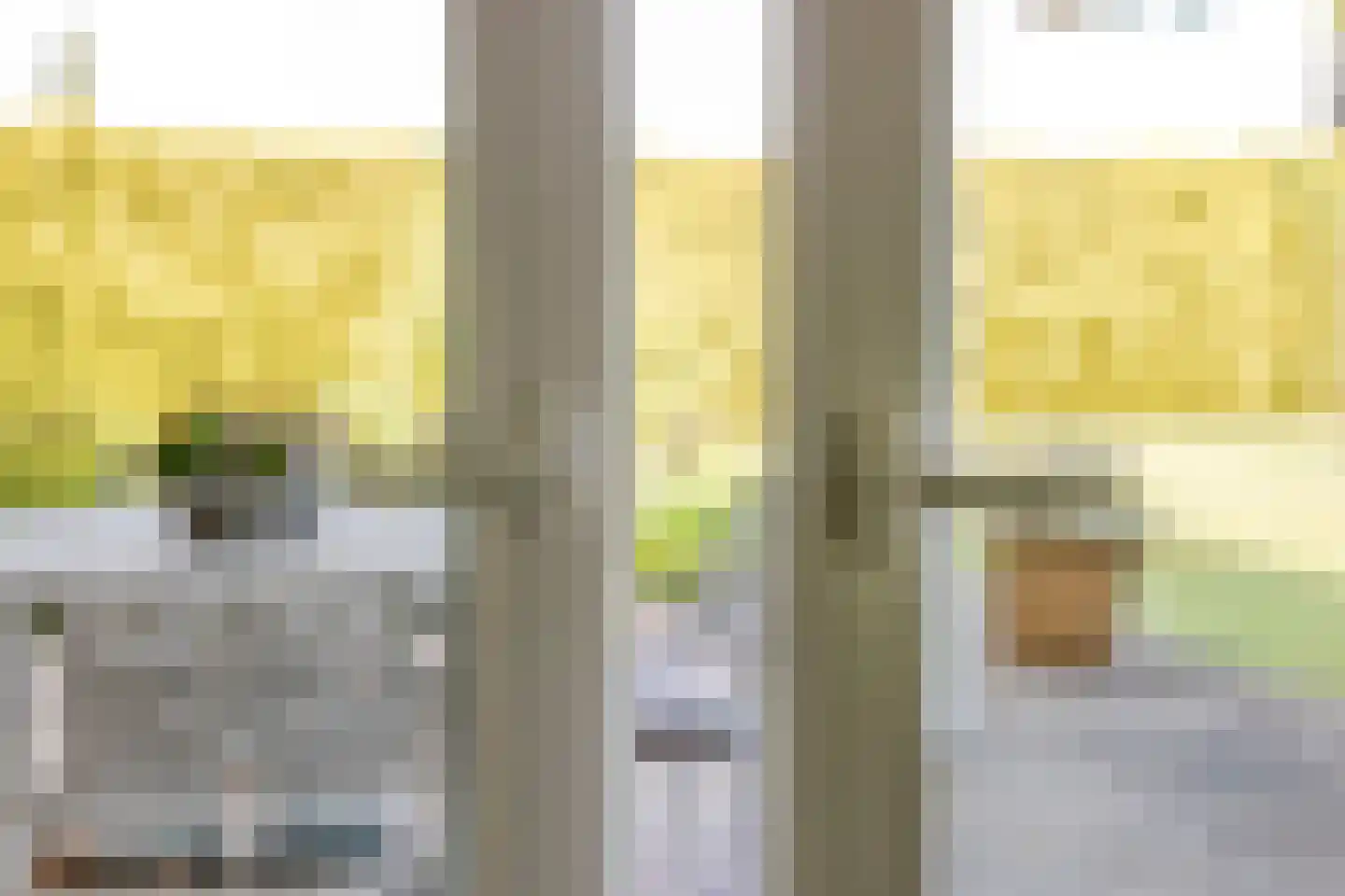 Aalsmeer 6 6 Badhoevedorp thumbnail 7