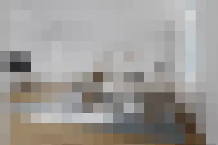 Aalsmeerderdijk 114 Oude Meer thumbnail 12