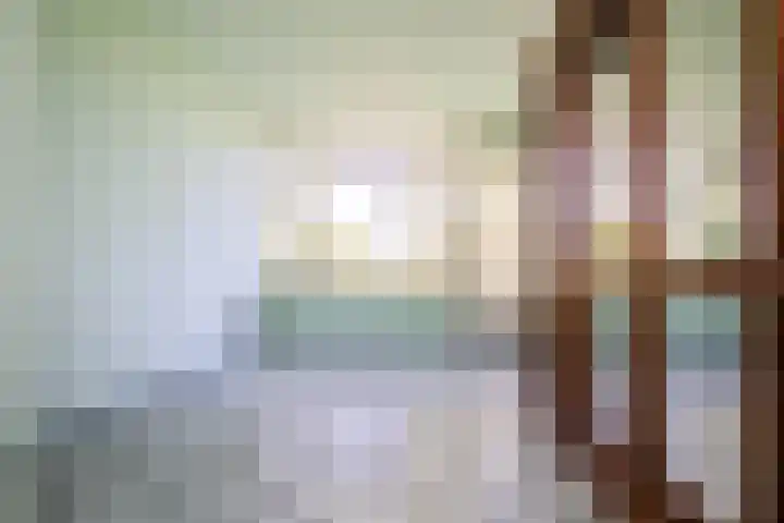 Aalsmeerderdijk 114 Oude Meer thumbnail 14