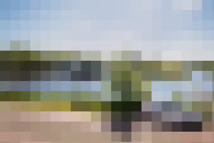 Aalsmeerderdijk 114 Oude Meer thumbnail 25
