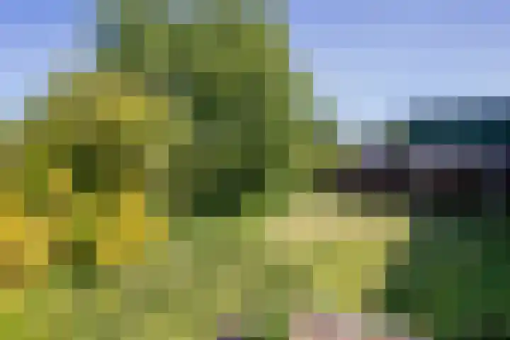Aalsmeerderdijk 114 Oude Meer thumbnail 37