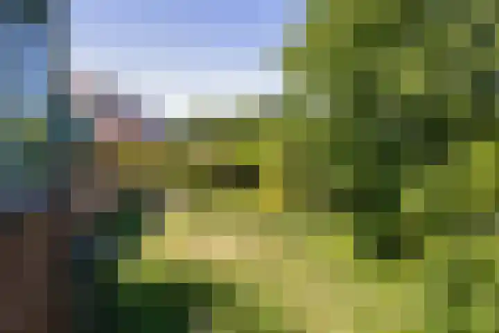 Aalsmeerderdijk 114 Oude Meer thumbnail 38