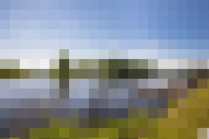 Aalsmeerderdijk 114 Oude Meer thumbnail 39