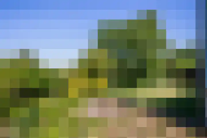 Aalsmeerderdijk 114 Oude Meer thumbnail 5