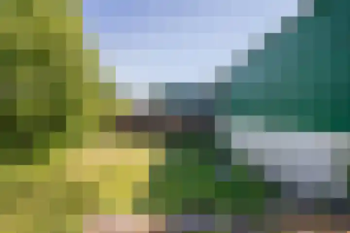 Aalsmeerderdijk 114 Oude Meer thumbnail 6