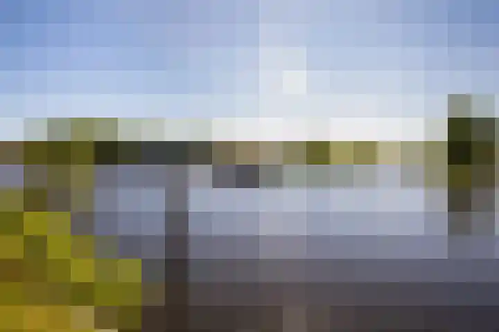 Aalsmeerderdijk 114 Oude Meer thumbnail 7