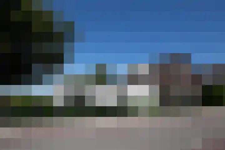 Aalsmeerderdijk 114 Oude Meer thumbnail 8