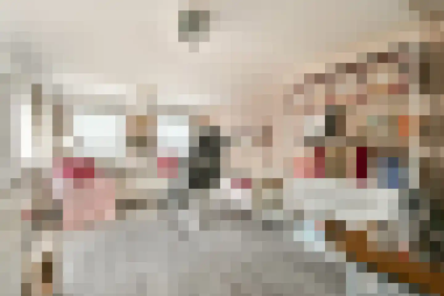 Aalsmeerderdijk 120 Oude Meer thumbnail 29