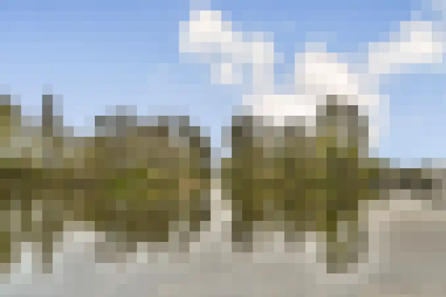 Aalsmeerderdijk 120 Oude Meer thumbnail 36