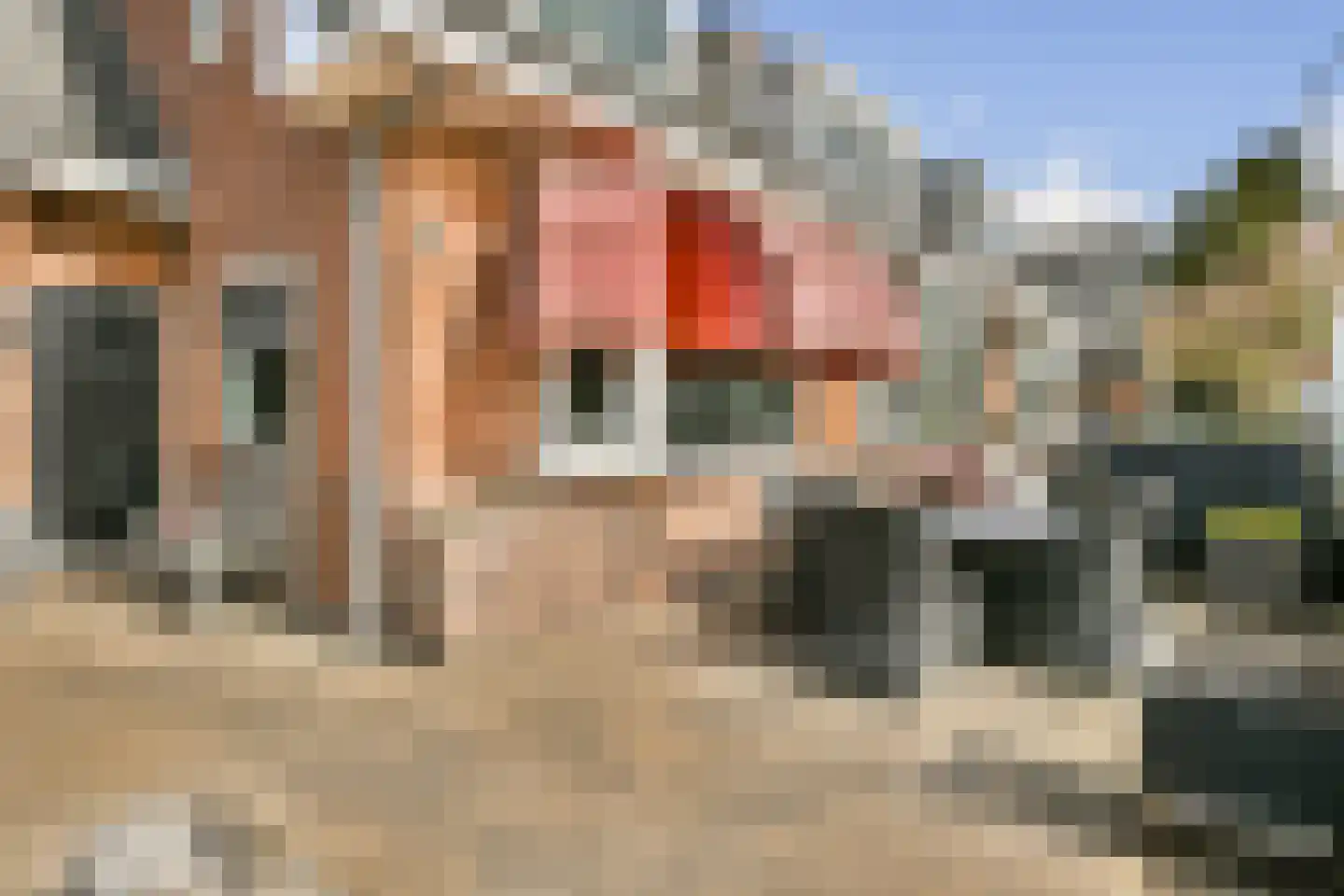 Aalsmeerderdijk 120 Oude Meer thumbnail 4