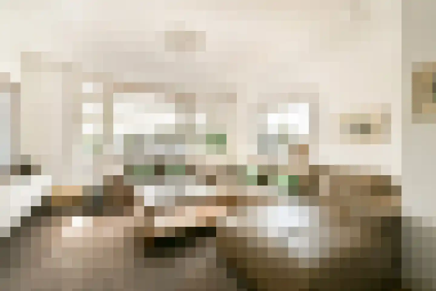 Aalsmeerderdijk 120 Oude Meer thumbnail 9