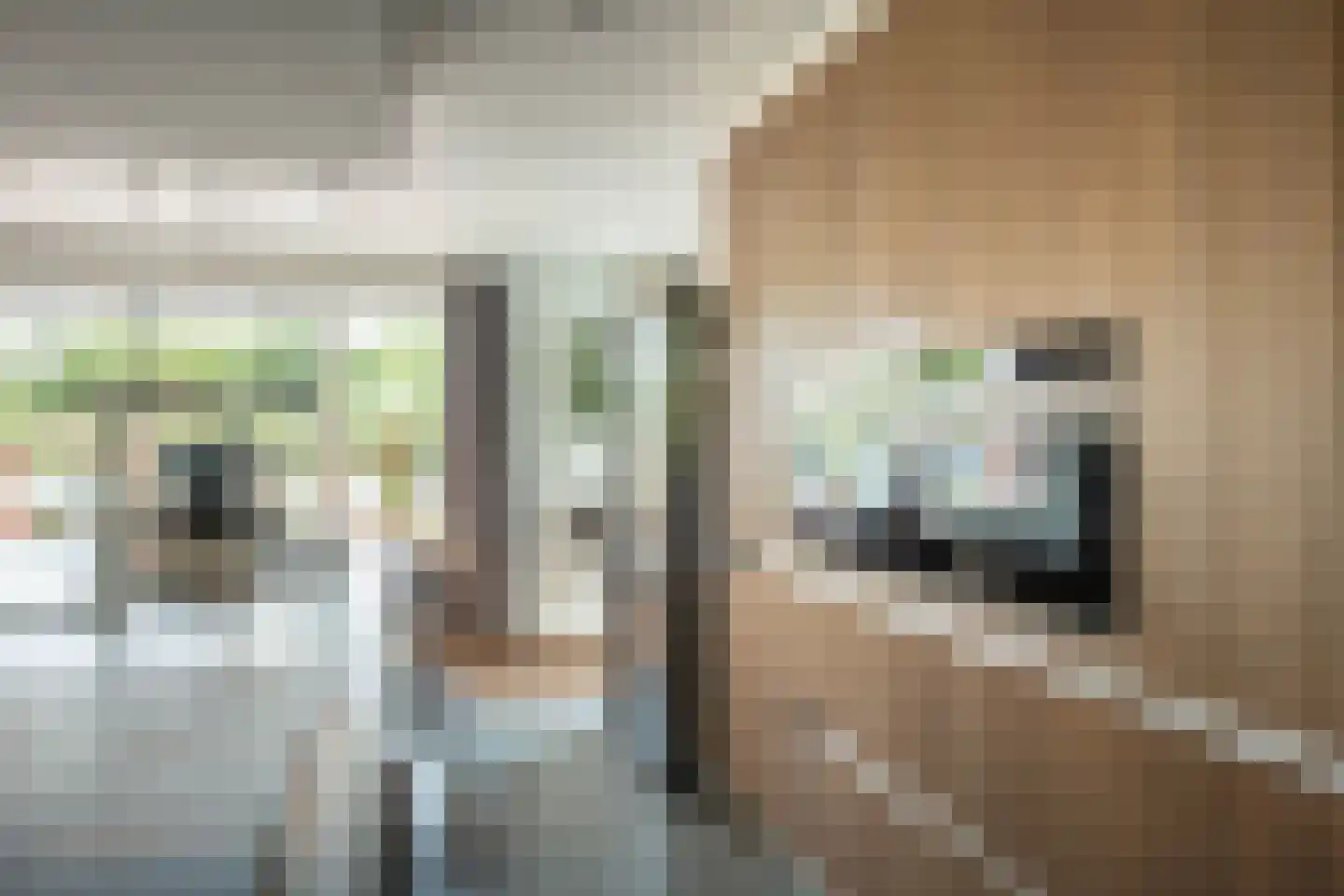 Aalsmeerderdijk 23 Oude Meer thumbnail 10