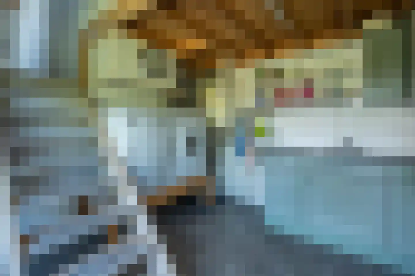Aalsmeerderdijk 23 Oude Meer thumbnail 18