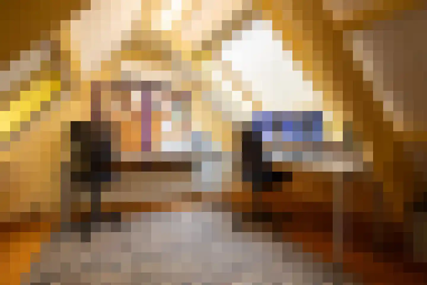 Aalsmeerderdijk 23 Oude Meer thumbnail 21