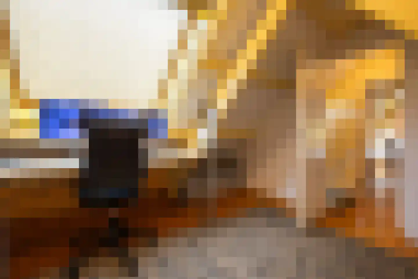 Aalsmeerderdijk 23 Oude Meer thumbnail 22