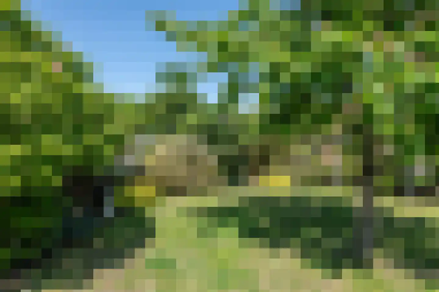 Aalsmeerderdijk 23 Oude Meer thumbnail 24
