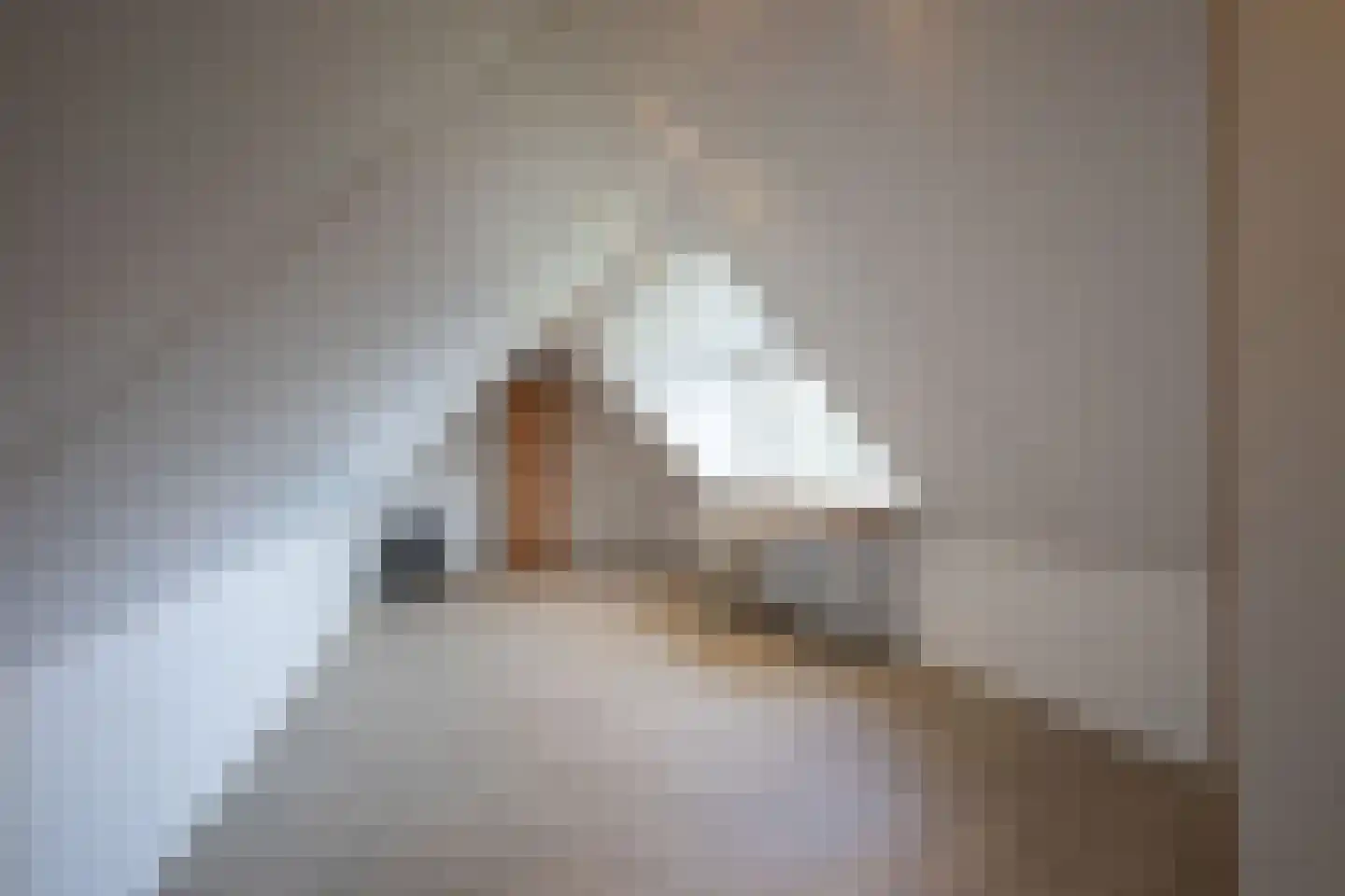 Aalsmeerderdijk 23 Oude Meer thumbnail 25