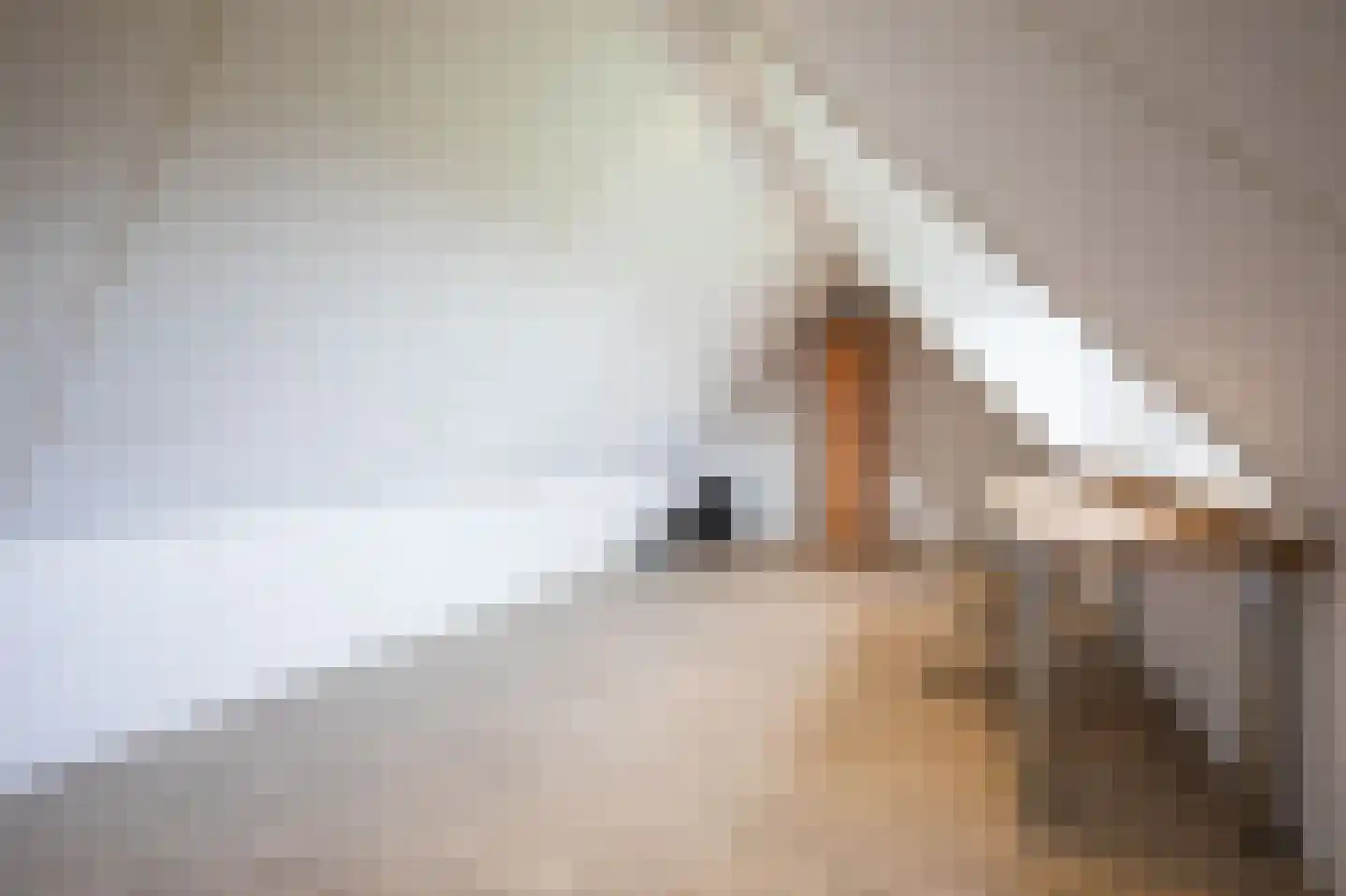 Aalsmeerderdijk 23 Oude Meer thumbnail 27