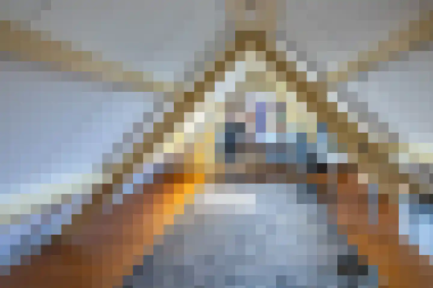 Aalsmeerderdijk 23 Oude Meer thumbnail 29