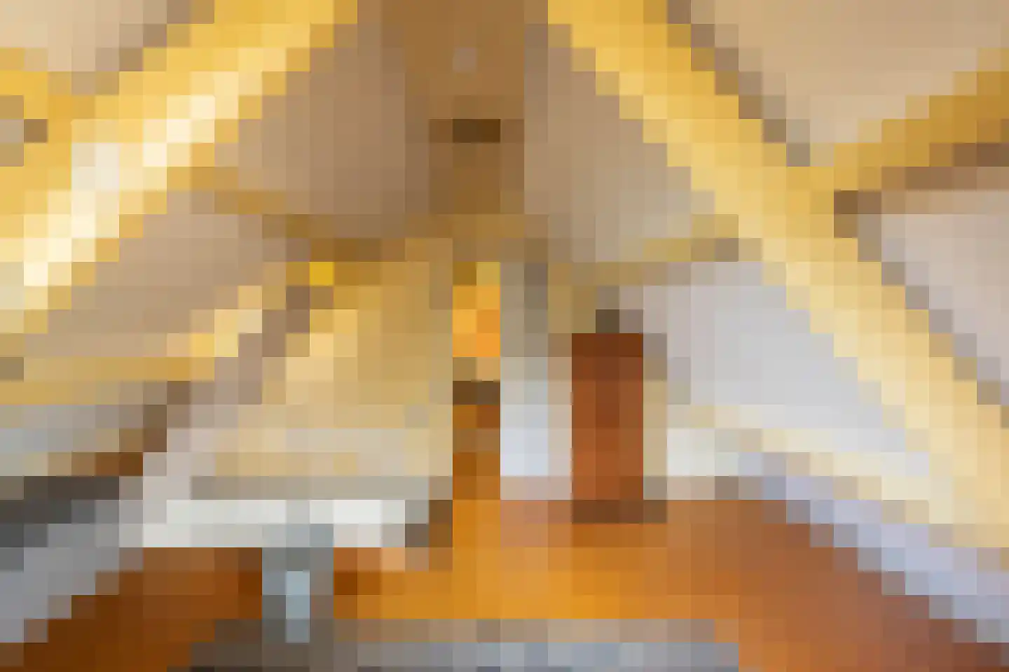 Aalsmeerderdijk 23 Oude Meer thumbnail 31