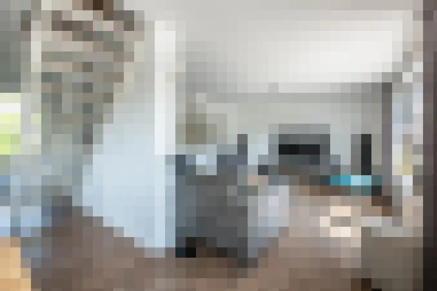 Aalsmeerderdijk 23 Oude Meer thumbnail 6