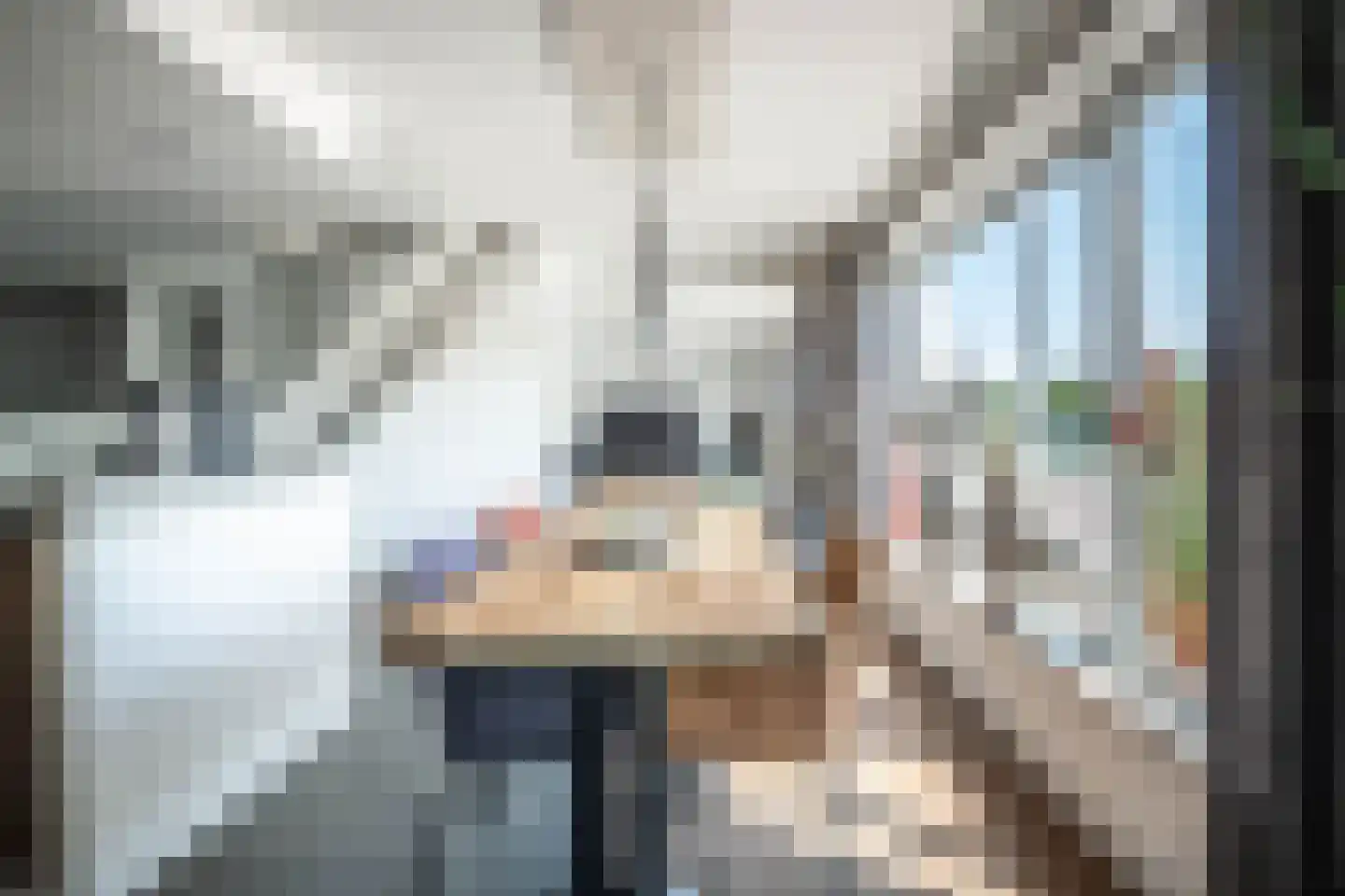 Aalsmeerderdijk 23 Oude Meer thumbnail 8