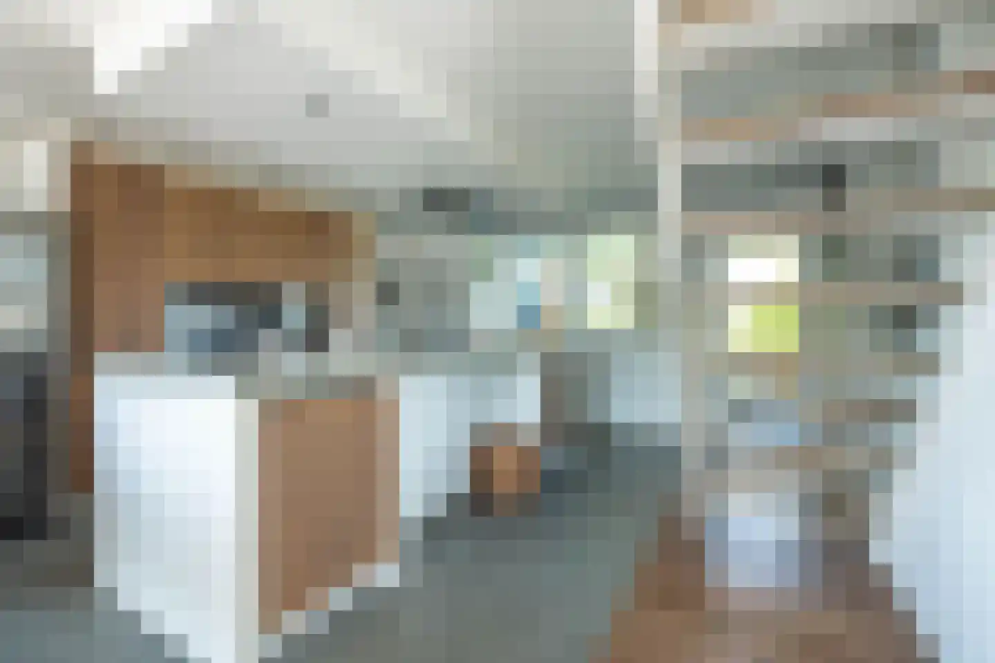 Aalsmeerderdijk 23 Oude Meer thumbnail 9