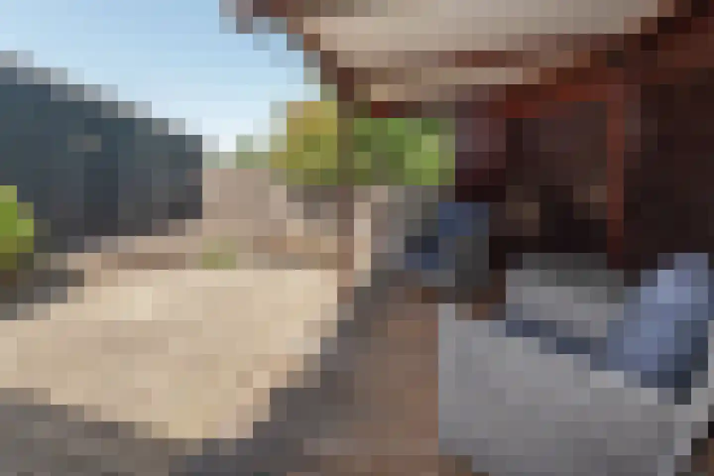 Aalsmeerderdijk 347 Aalsmeerderbrug thumbnail 6